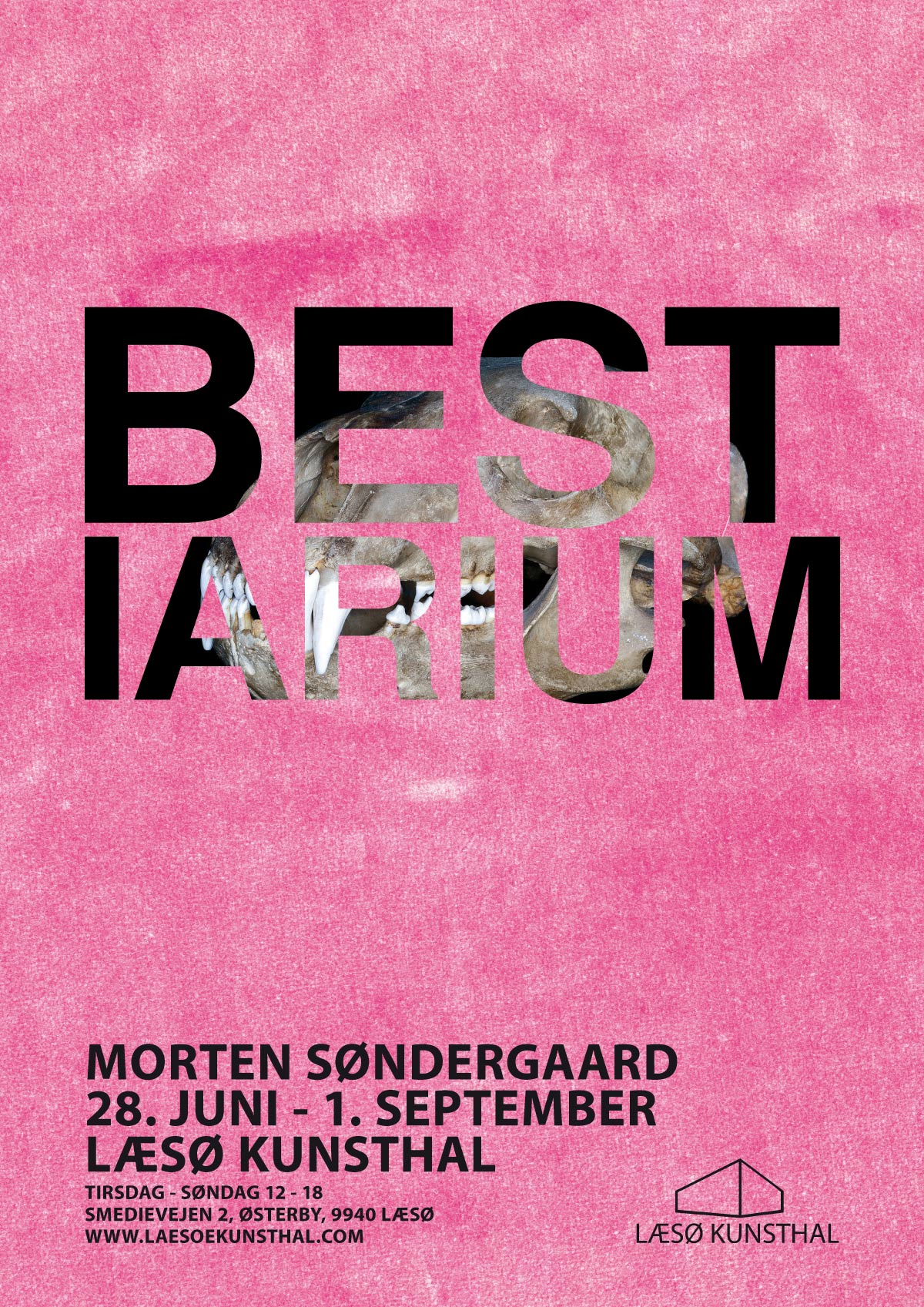 Læsø Kunsthal 2014: Bestiarium af Morten Søndergaard