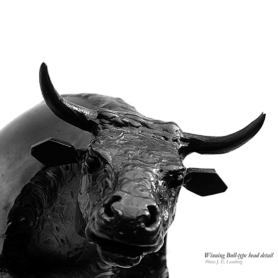 Detlaje fra vinder-tyren. Detail of premier bull. Photo: Jon Eirik Lundberg 